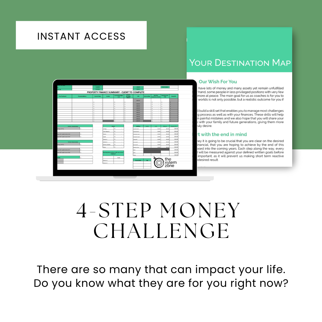 4-Step Money<br />
Challenge